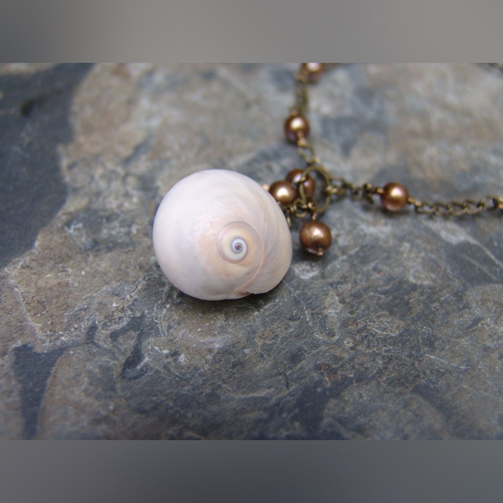 Shark’s Eye Shell Handmade Necklace by Sandy Robinson Jewelry